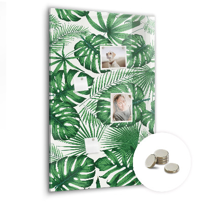 Quadro magnético Folhas da planta Monstera