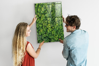 Quadro magnético Árvores da floresta natureza