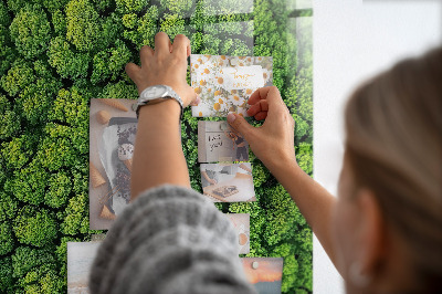 Quadro magnético Árvores da floresta natureza