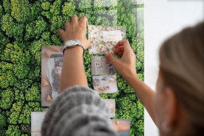 Quadro magnético Árvores da floresta natureza