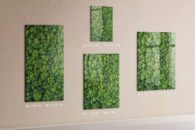 Quadro magnético Árvores da floresta natureza