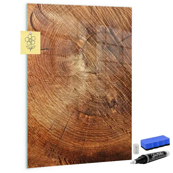 Quadro magnético com caneta estampa de corte transversal de tronco