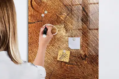 Quadro magnético com caneta estampa de corte transversal de tronco