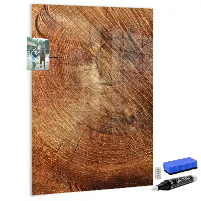 Quadro magnético com caneta estampa de corte transversal de tronco