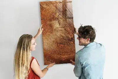 Quadro magnético com caneta estampa de corte transversal de tronco