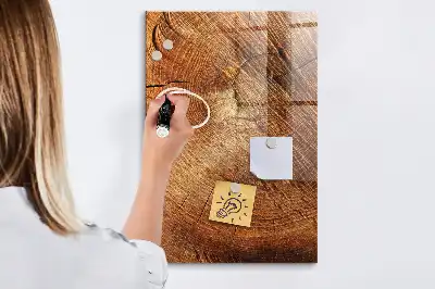 Quadro magnético com caneta estampa de corte transversal de tronco