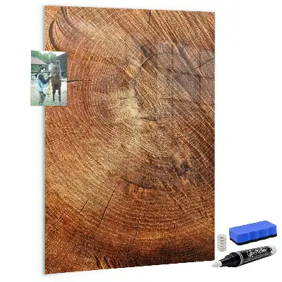 Quadro magnético com caneta estampa de corte transversal de tronco