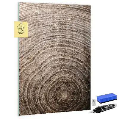 Quadro magnético educativo com caneta tema anéis de crescimento da madeira