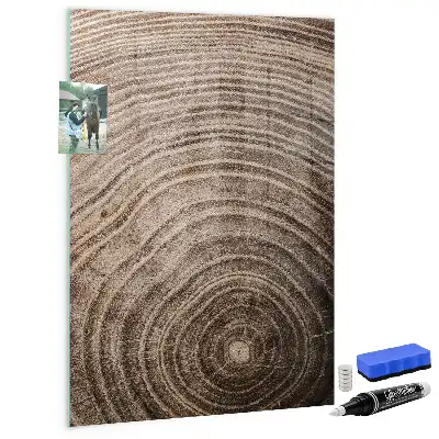 Quadro magnético educativo com caneta tema anéis de crescimento da madeira