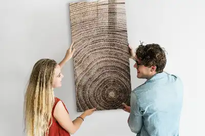 Quadro magnético educativo com caneta tema anéis de crescimento da madeira