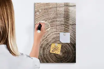 Quadro magnético educativo com caneta tema anéis de crescimento da madeira