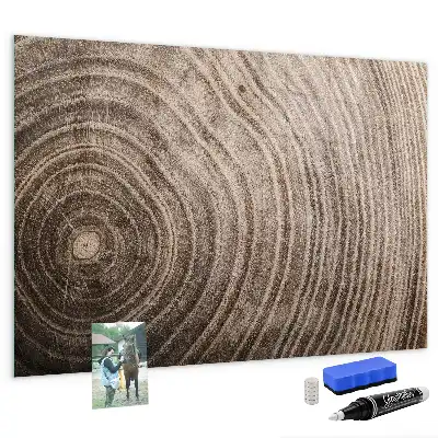 Quadro magnético com caneta modelo tronco de árvore