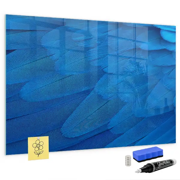 Quadro magnético de apagar a seco com estampa de pena de pássaro