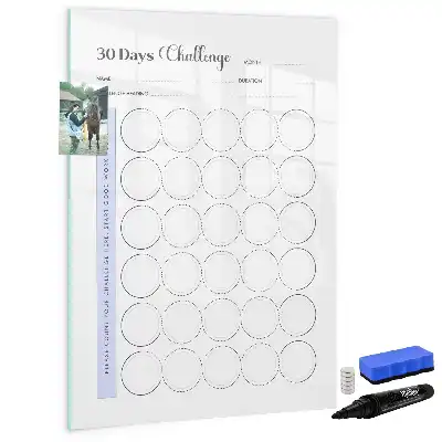 Quadro magnético de apagar a seco planner para 30 dias