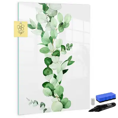 Quadro magnético de apagar a seco de folhas de junco