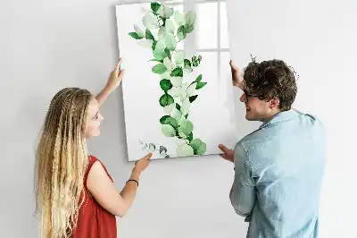 Quadro magnético de apagar a seco de folhas de junco