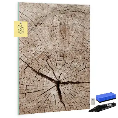 Quadro magnético de apagar a seco estampa de corte transversal de tronco