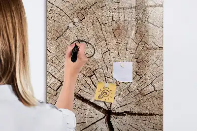 Quadro magnético de apagar a seco estampa de corte transversal de tronco