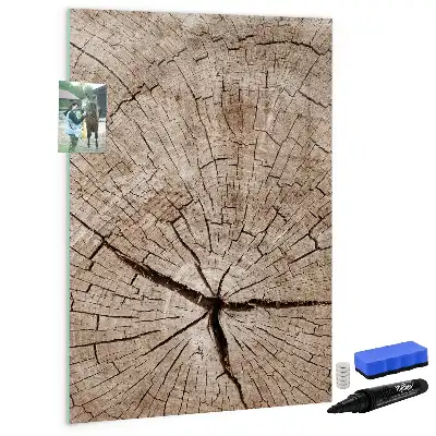 Quadro magnético de apagar a seco estampa de corte transversal de tronco