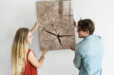 Quadro magnético de apagar a seco estampa de corte transversal de tronco