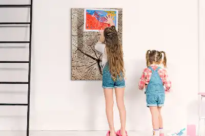 Quadro magnético de apagar a seco estampa de corte transversal de tronco