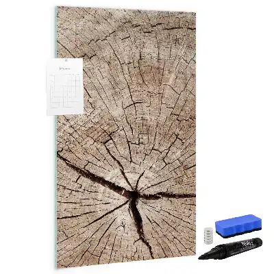Quadro magnético de apagar a seco estampa de corte transversal de tronco