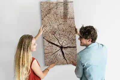 Quadro magnético de apagar a seco estampa de corte transversal de tronco