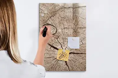 Quadro magnético de apagar a seco estampa de corte transversal de tronco