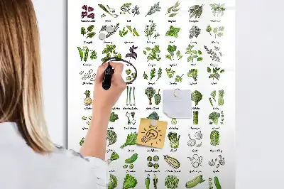 Quadro magnético de apagar a seco com tema de vegetais verdes