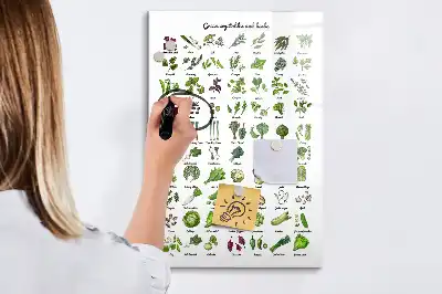 Quadro magnético de apagar a seco com tema de vegetais verdes