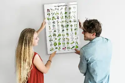 Quadro magnético de apagar a seco com tema de vegetais verdes