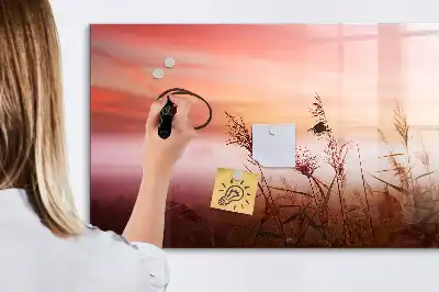 Quadro magnético para escrever estampa manhã de neblina