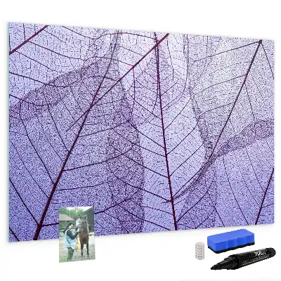 Quadro magnético para escrever estampa folhas da natureza