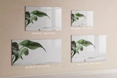 Quadro magnético para desenho folhas abstratas