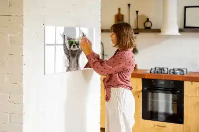 Quadro magnético para desenhar com estampa de suculentas com óculos