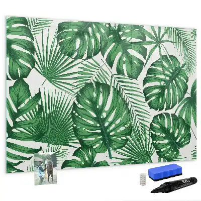 Quadro magnético para desenhar folhas de monstera