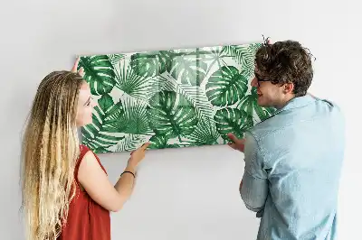 Quadro magnético para desenhar folhas de monstera