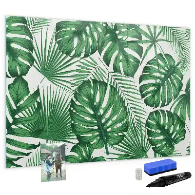 Quadro magnético para desenhar folhas de monstera