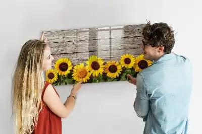 Quadro magnético para desenhar estampa girassóis