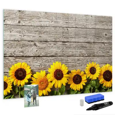 Quadro magnético para desenhar estampa girassóis