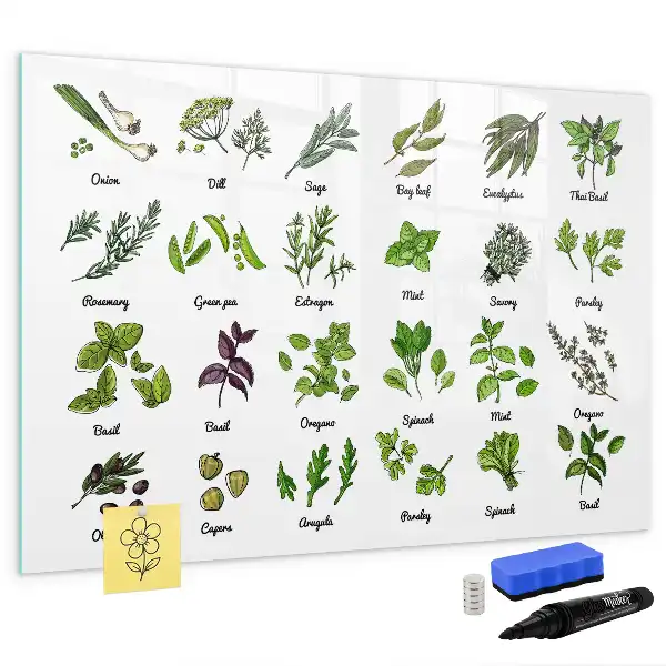 Quadro magnético para desenhar com tema de espécies de árvores
