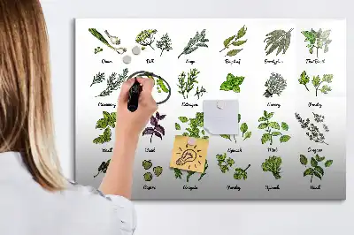 Quadro magnético para desenhar com tema de espécies de árvores