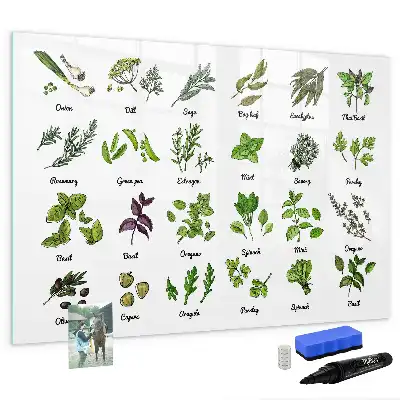 Quadro magnético para desenhar com tema de espécies de árvores