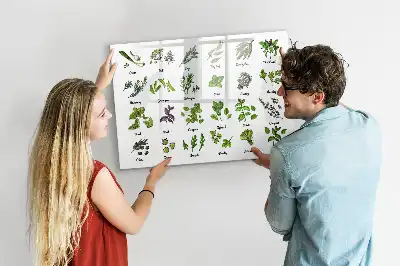 Quadro magnético para desenhar com tema de espécies de árvores
