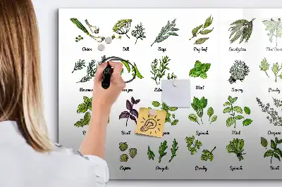 Quadro magnético para desenhar com tema de espécies de árvores