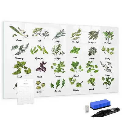 Quadro magnético para desenhar com tema de espécies de árvores