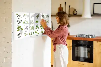 Quadro magnético para desenhar com tema de espécies de árvores