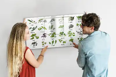 Quadro magnético para desenhar com tema de espécies de árvores