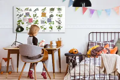 Quadro magnético para desenhar com tema de espécies de árvores
