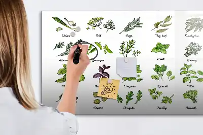 Quadro magnético para desenhar com tema de espécies de árvores